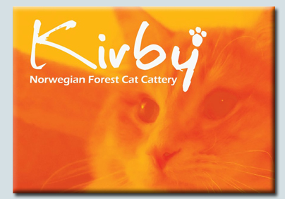 Kirby Norwegian Forest Cat Cattery